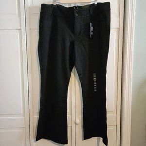 NWT Torrid Women's Noir Short Trousers
